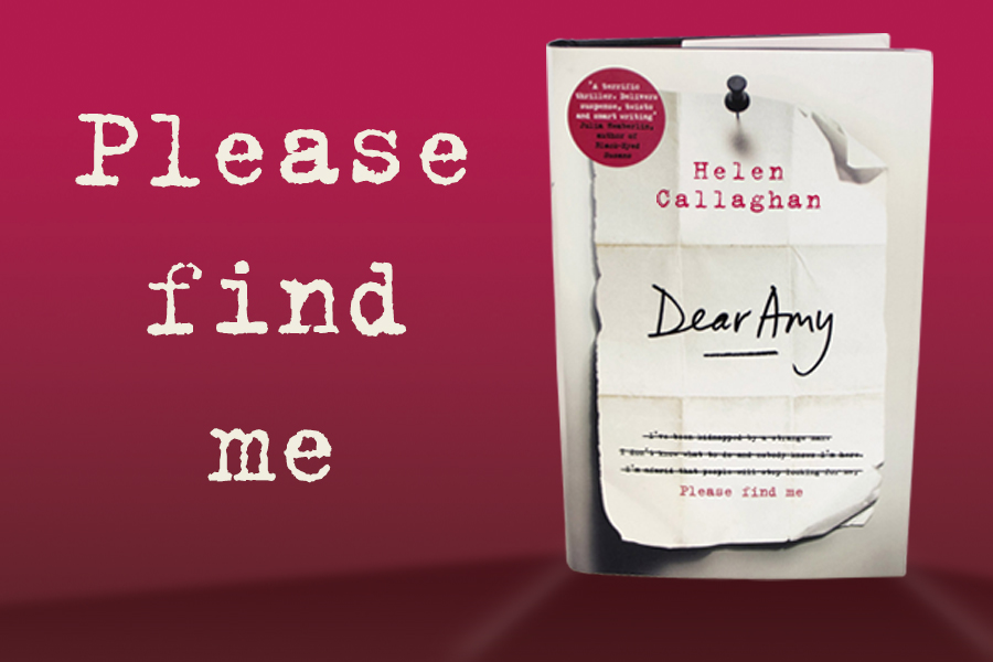 Please Find Me - Dear Amy