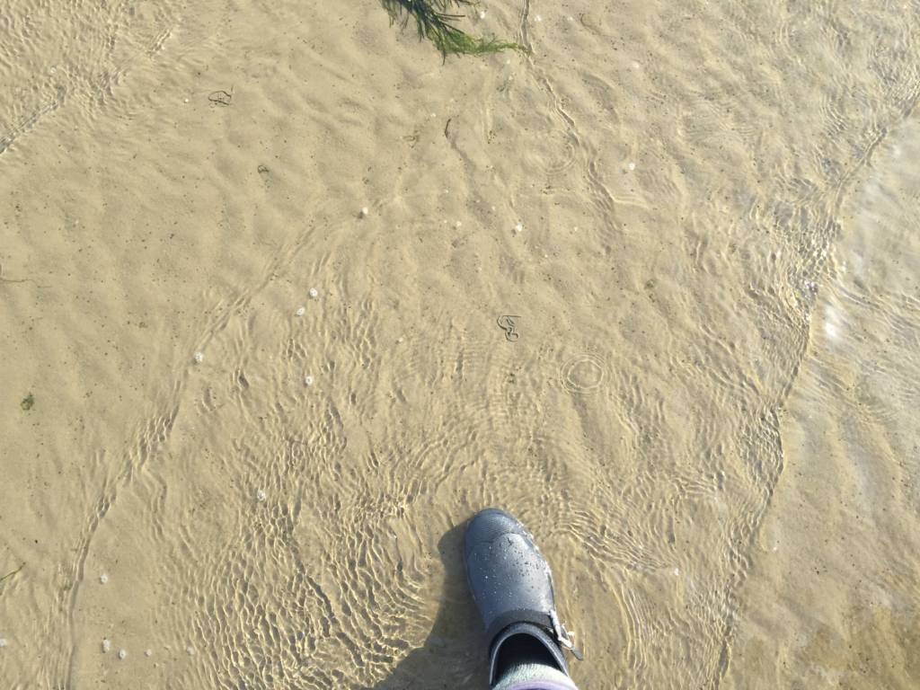 The Broomway, being under water