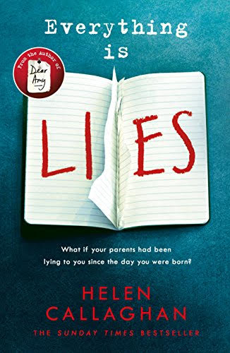 Everything Is Lies now available in paperback!